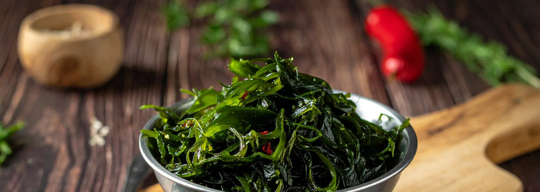 Algen – das unterschätzte Superfood aus dem Meer | Schwarzwald-MISO